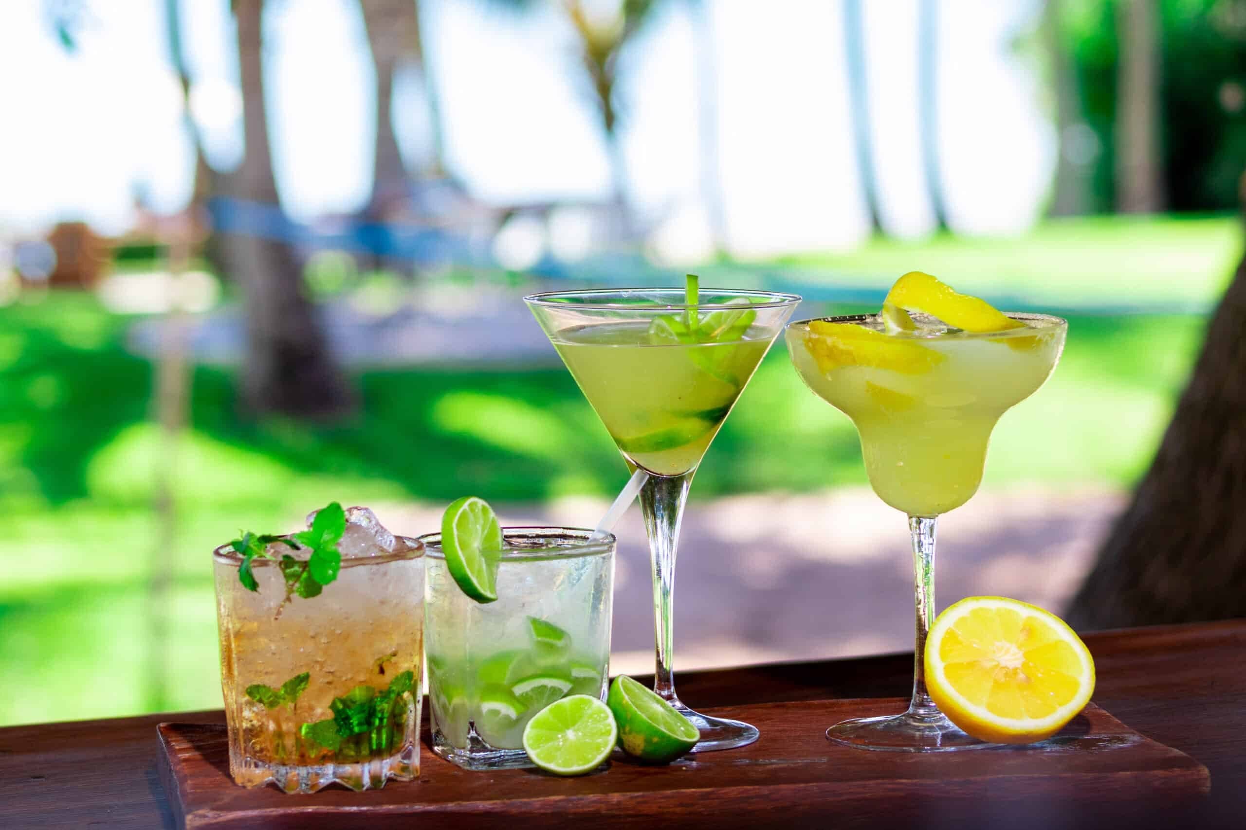 Vilanculos Beach Lodge marketing photo 28