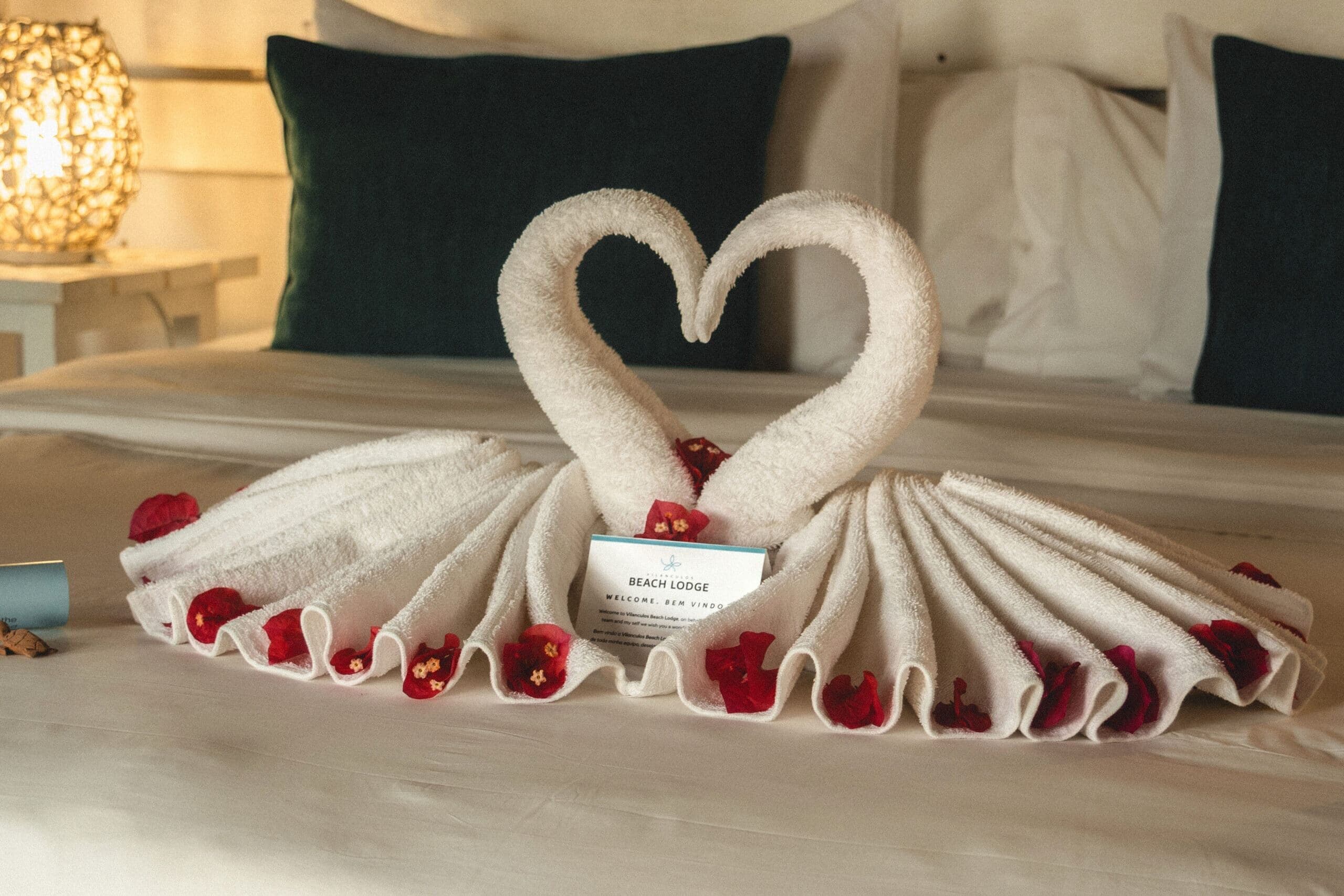 Vilanculos Beach Lodge marketing photo 33